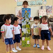 ひまわりの製作【預かりコース】